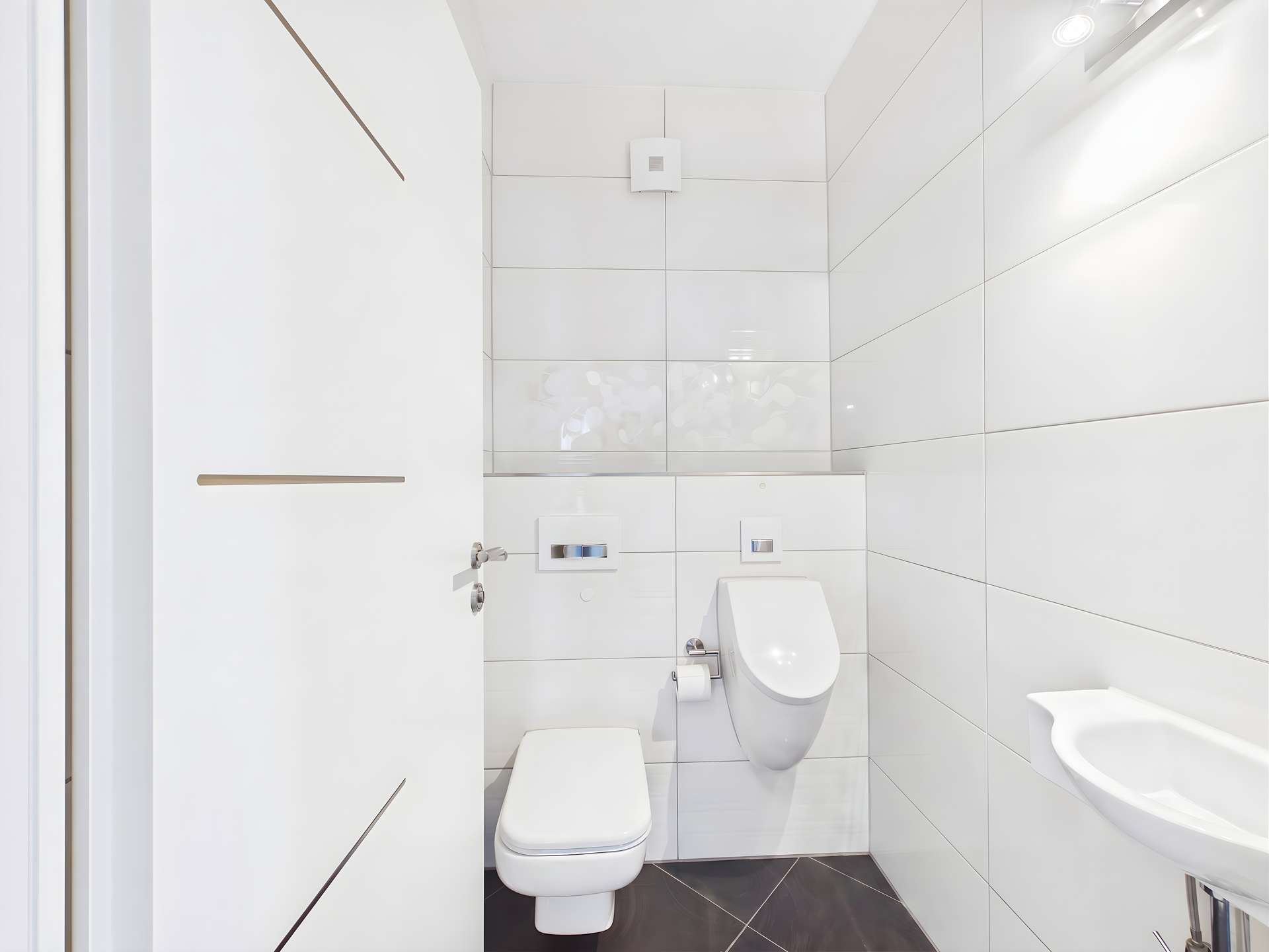5575869-NvhWfVVaTdzazN8sjWnsjrQE-2b3a3060-gaeste-wc-gaeste-wc-staging-in-philippsburg-4k